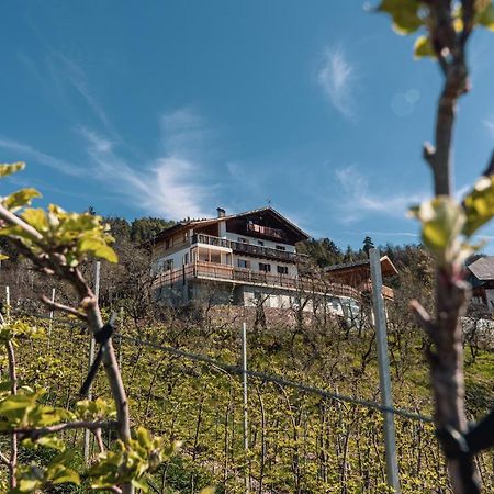 Malgorerhof Lavendel San Genesio Atesino Ngoại thất bức ảnh